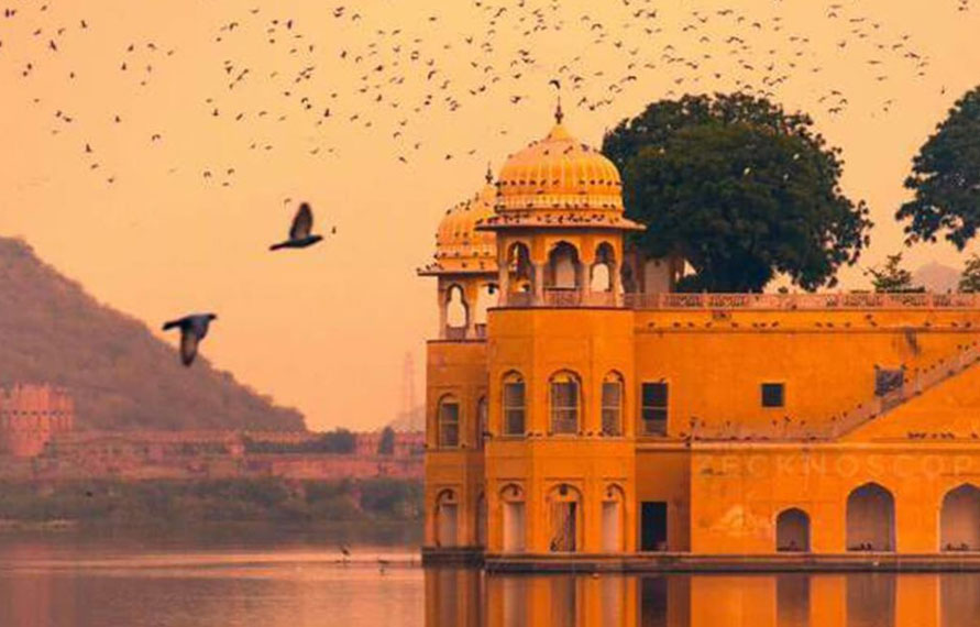 Jaipur Sightseeing for Female Solo Traveler